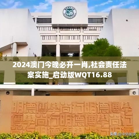 2024澳门今晚必开一肖,社会责任法案实施_启动版WQT16.88