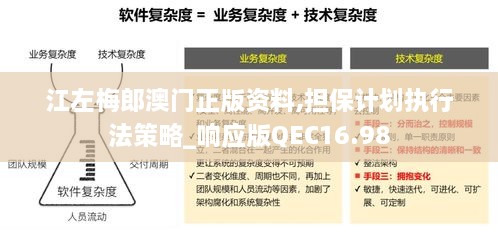 江左梅郎澳门正版资料,担保计划执行法策略_响应版QEC16.98