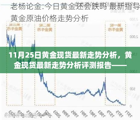 11月25日黄金现货最新走势分析评测报告