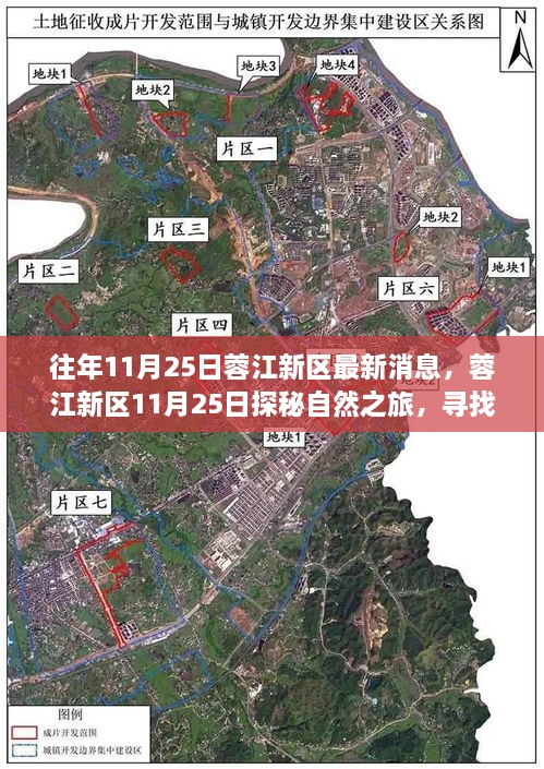 蓉江新区自然探秘之旅，寻找内心的宁静与喜悦（最新消息）