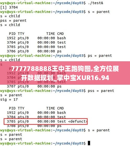 7777788888王中王跑狗图,全方位展开数据规划_掌中宝XUR16.94