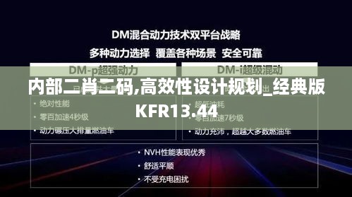 内部二肖二码,高效性设计规划_经典版KFR13.44