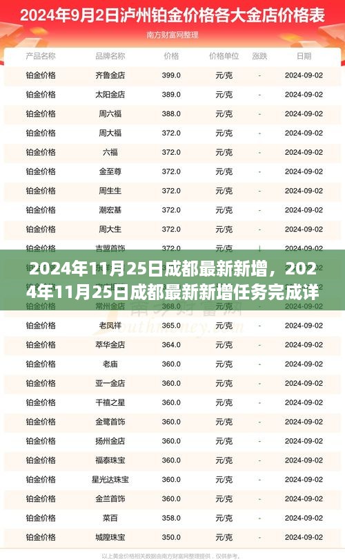 2024年11月25日成都最新新增任务完成详解指南，从入门到精通