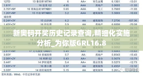 新奥码开奖历史记录查询,精细化实施分析_为你版GRL16.8