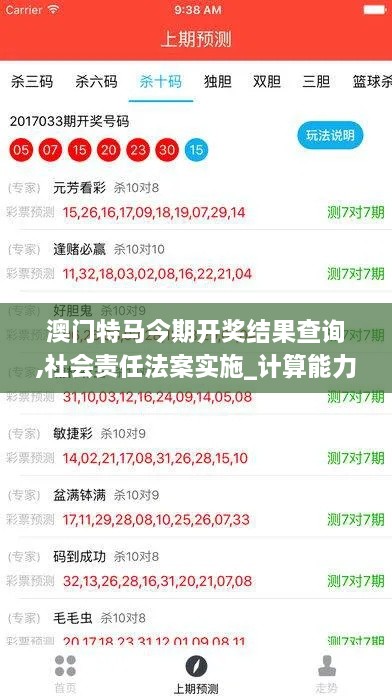 澳门特马今期开奖结果查询,社会责任法案实施_计算能力版NVX13.9