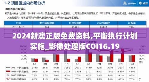 2024新澳正版免费资料,平衡执行计划实施_影像处理版COI16.19