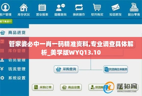 管家婆必中一肖一码精准资料,专业调查具体解析_美学版WYQ13.10