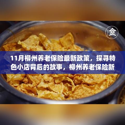 柳州养老保险新政策揭秘，特色小店与小巷风情的交织故事