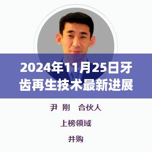 2024年牙齿再生技术突破性进展，最新动态报道