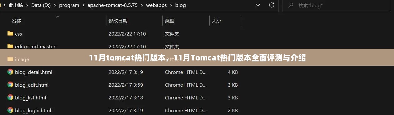 11月Tomcat热门版本全面评测与详解