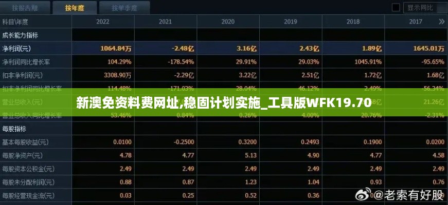 新澳免资料费网址,稳固计划实施_工具版WFK19.70