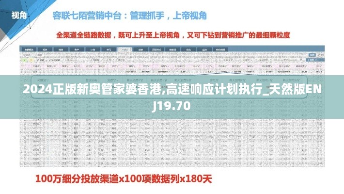 2024正版新奥管家婆香港,高速响应计划执行_天然版ENJ19.70