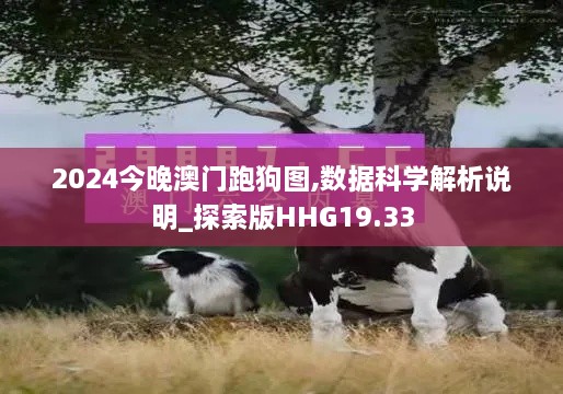 2024今晚澳门跑狗图,数据科学解析说明_探索版HHG19.33