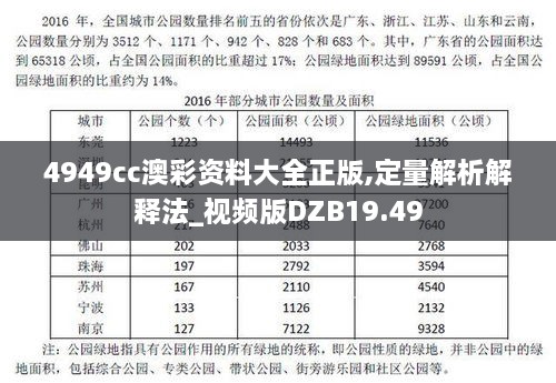 4949cc澳彩资料大全正版,定量解析解释法_视频版DZB19.49