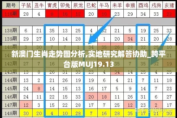 新澳门生肖走势图分析,实地研究解答协助_跨平台版MUJ19.13