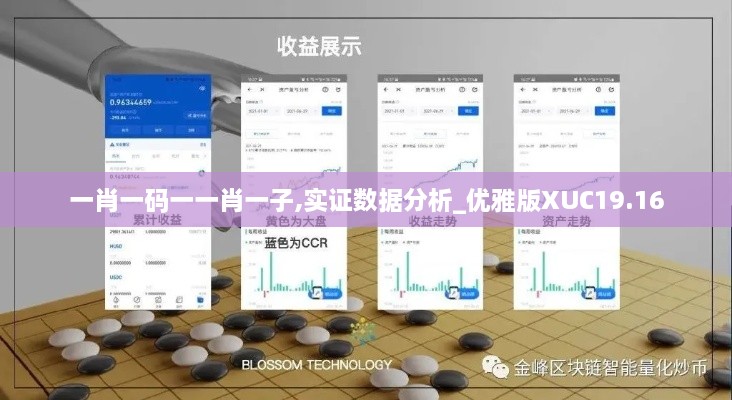 一肖一码一一肖一子,实证数据分析_优雅版XUC19.16