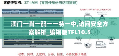 澳门一肖一码一一特一中,访问安全方案解析_编辑版TFL10.5