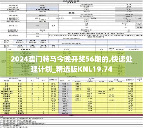 2024澳门特马今晚开奖56期的,快速处理计划_精选版KNL19.74