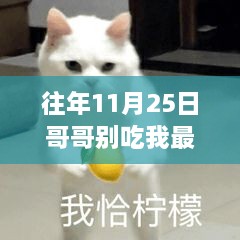 阅读与理解的探讨，往日11月25日哥哥别吃我最新章节热议