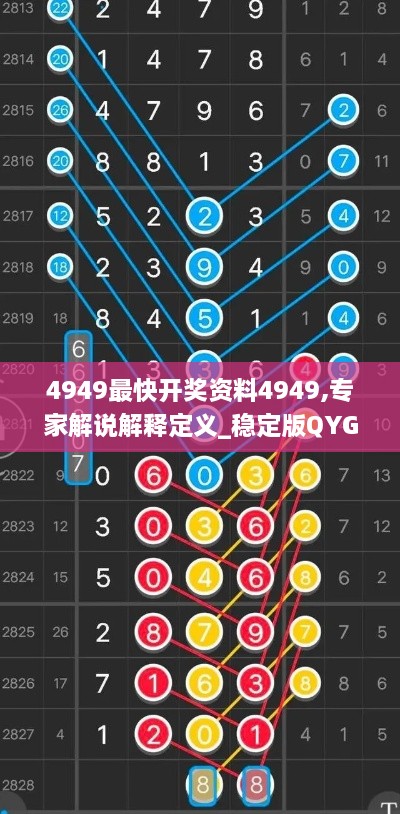 4949最快开奖资料4949,专家解说解释定义_稳定版QYG19.10