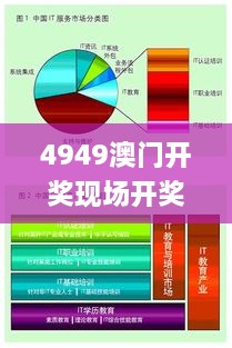 4949澳门开奖现场开奖直播,快速解决方式指南_精选版EDY19.95