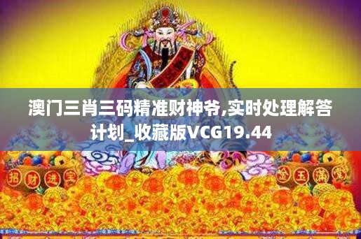 澳门三肖三码精准财神爷,实时处理解答计划_收藏版VCG19.44