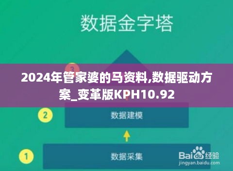 2024年管家婆的马资料,数据驱动方案_变革版KPH10.92