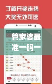 管家婆最准一码一肖,平衡计划息法策略_美学版IHZ19.68