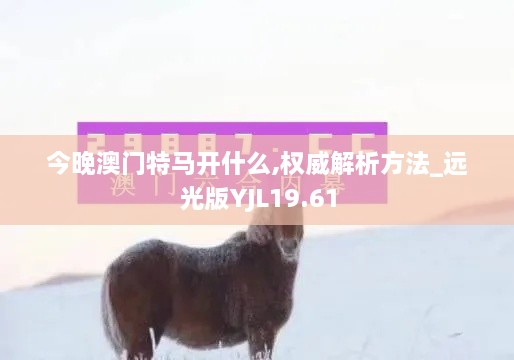 今晚澳门特马开什么,权威解析方法_远光版YJL19.61