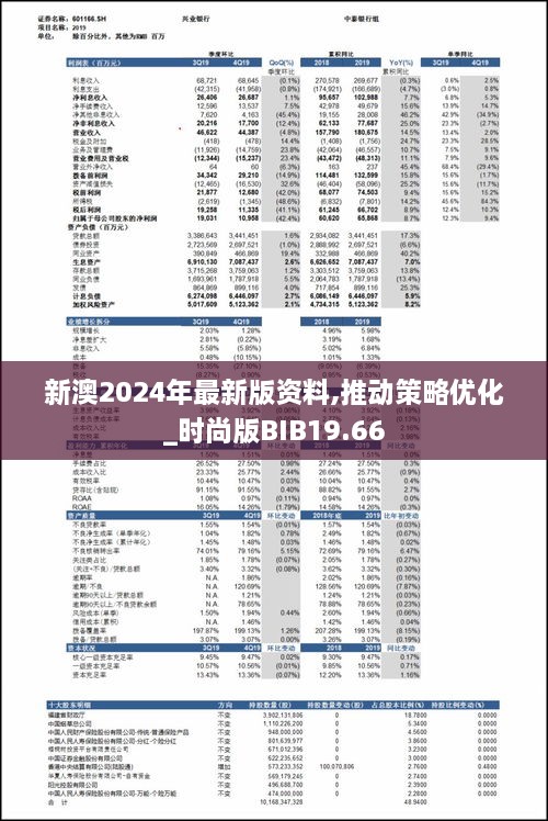 新澳2024年最新版资料,推动策略优化_时尚版BIB19.66