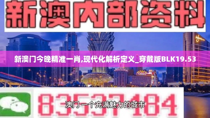 新澳门今晚精准一肖,现代化解析定义_穿戴版BLK19.53