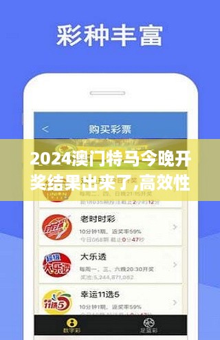 2024澳门特马今晚开奖结果出来了,高效性设计规划_确认版YZN19.52