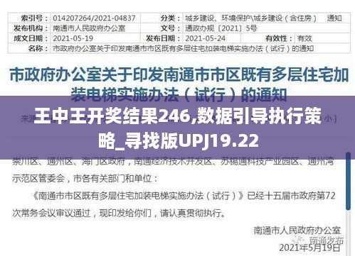 王中王开奖结果246,数据引导执行策略_寻找版UPJ19.22