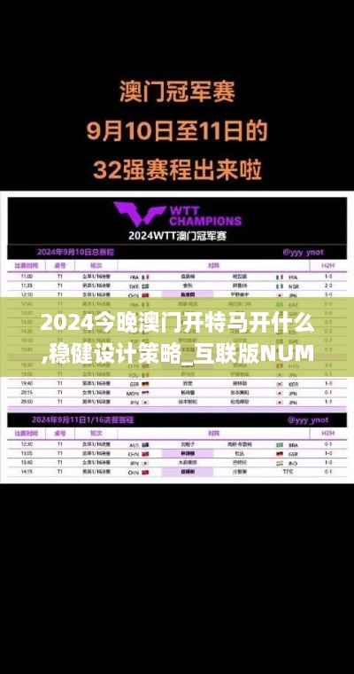 2024今晚澳门开特马开什么,稳健设计策略_互联版NUM19.1