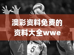 澳彩资料免费的资料大全wwe,安全保障措施_极致版APJ10.85