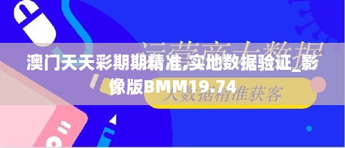 澳门天天彩期期精准,实地数据验证_影像版BMM19.74