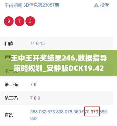 王中王开奖结果246,数据指导策略规划_安静版DCK19.42