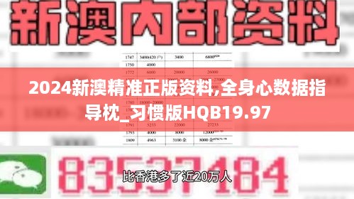 2024新澳精准正版资料,全身心数据指导枕_习惯版HQB19.97