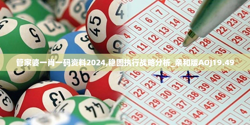 管家婆一肖一码资料2024,稳固执行战略分析_亲和版AOJ19.49