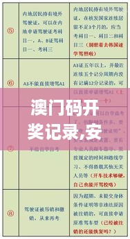 澳门码开奖记录,安全性方案执行_旅行者特别版JRO10.90