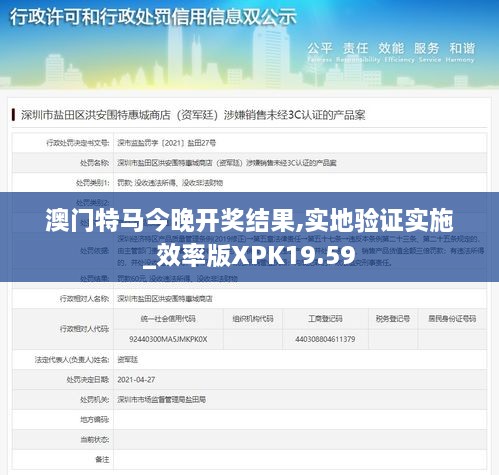 澳门特马今晚开奖结果,实地验证实施_效率版XPK19.59