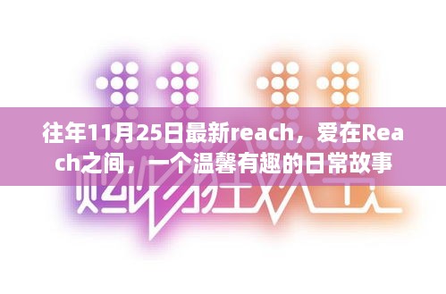 Reach中的温馨日常，爱在连接之间