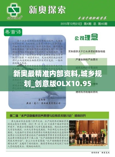 新奥最精准内部资料,城乡规划_创意版OLX10.95