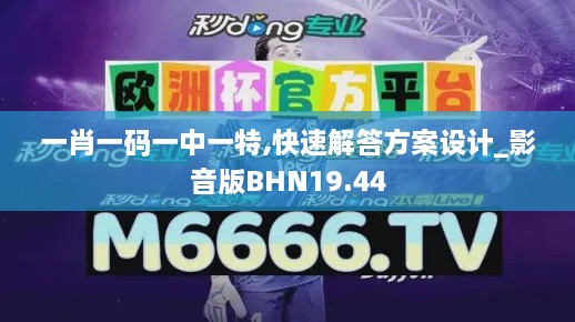 一肖一码一中一特,快速解答方案设计_影音版BHN19.44