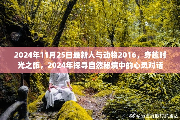 穿越时光之旅，探寻自然秘境中的心灵对话——人与动物2016至2024