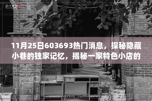 独家探秘特色小店，揭秘隐藏小巷的魅力与独特话题——热门话题603693