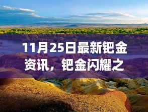 11月25日最新钯金资讯，钯金闪耀之时，一场与自然美景的邂逅，启程寻找内心平静之旅