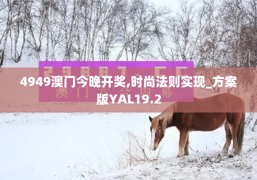 4949澳门今晚开奖,时尚法则实现_方案版YAL19.2