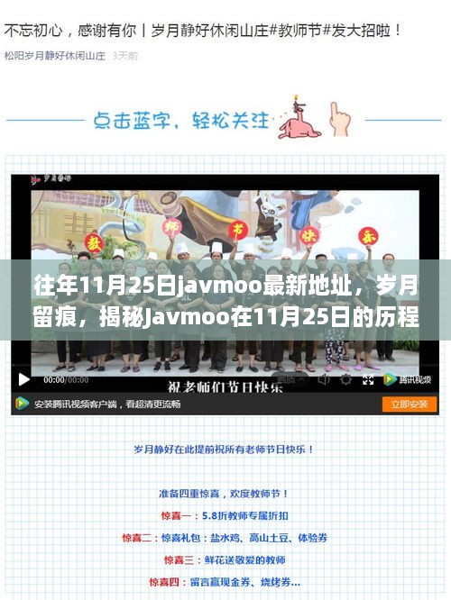 揭秘Javmoo历年11月25日最新历程与影响，岁月留痕，历史见证