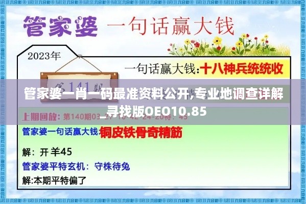 管家婆一肖一码最准资料公开,专业地调查详解_寻找版OEO10.85